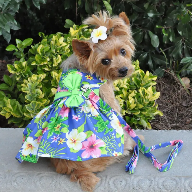 Blue Lagoon Hawaiian Hibiscus Dog Dress with Matching Leash by Doggie Design