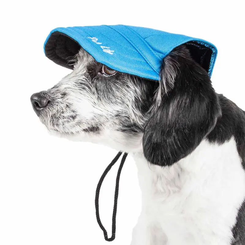 Pet Life Cap-tivating UV Protectant Dog Hat Cap - Blue