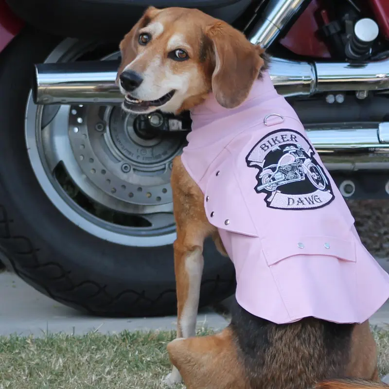 Biker Dawg Motorcycle Dog Jacket by Doggie Design - Pink