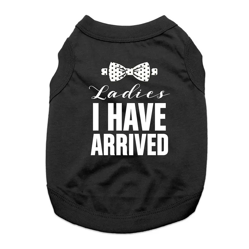 Ladies, I Have Arrived Dog Shirt - Black