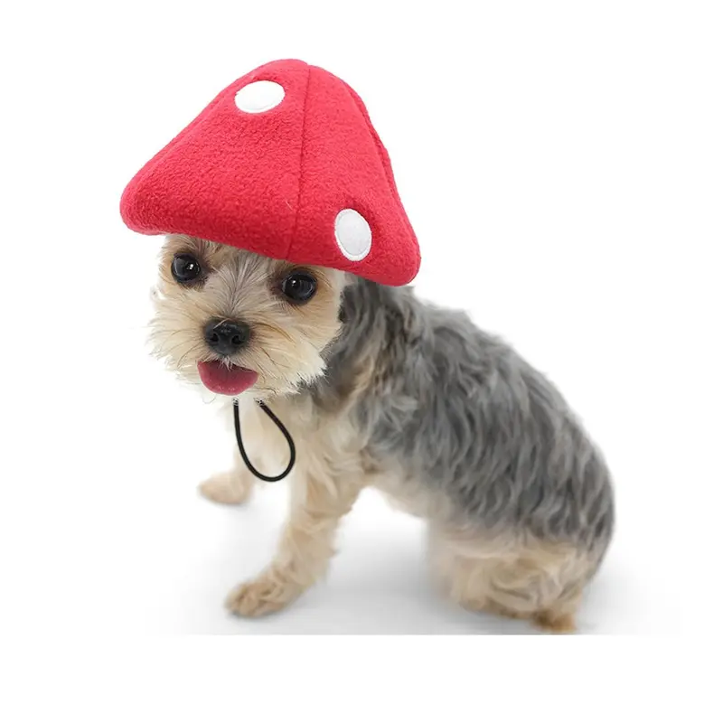 Dogo Mushroom Dog Hat - Red