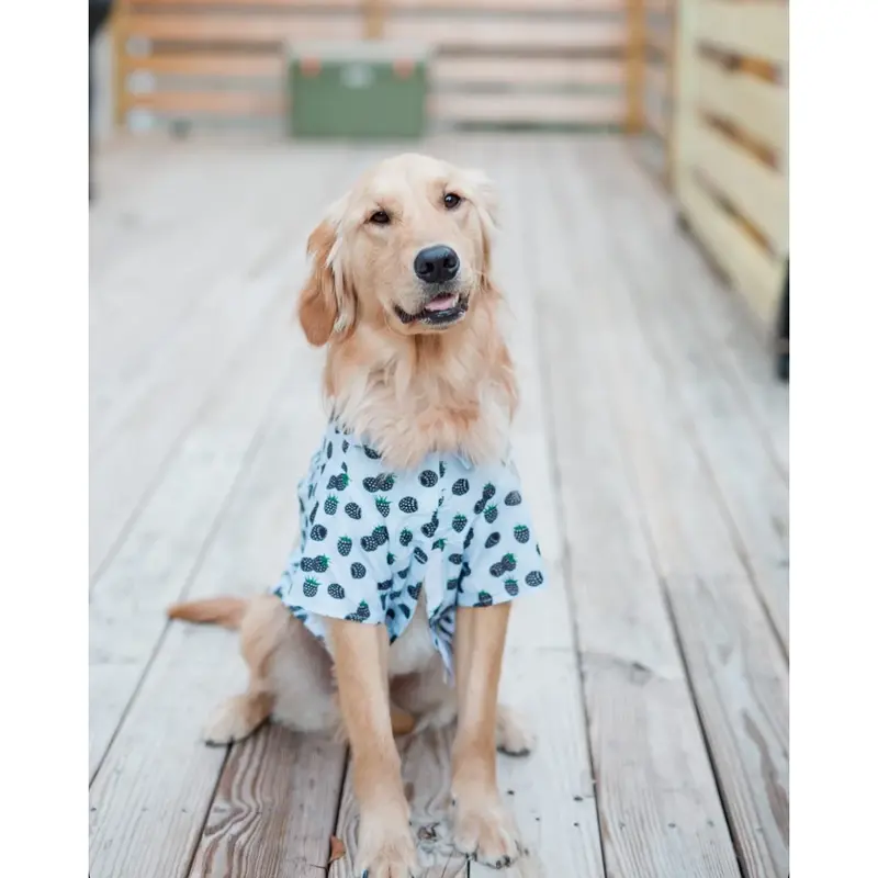 Hawaiian Camp Shirt by Doggie Design - Blackberries