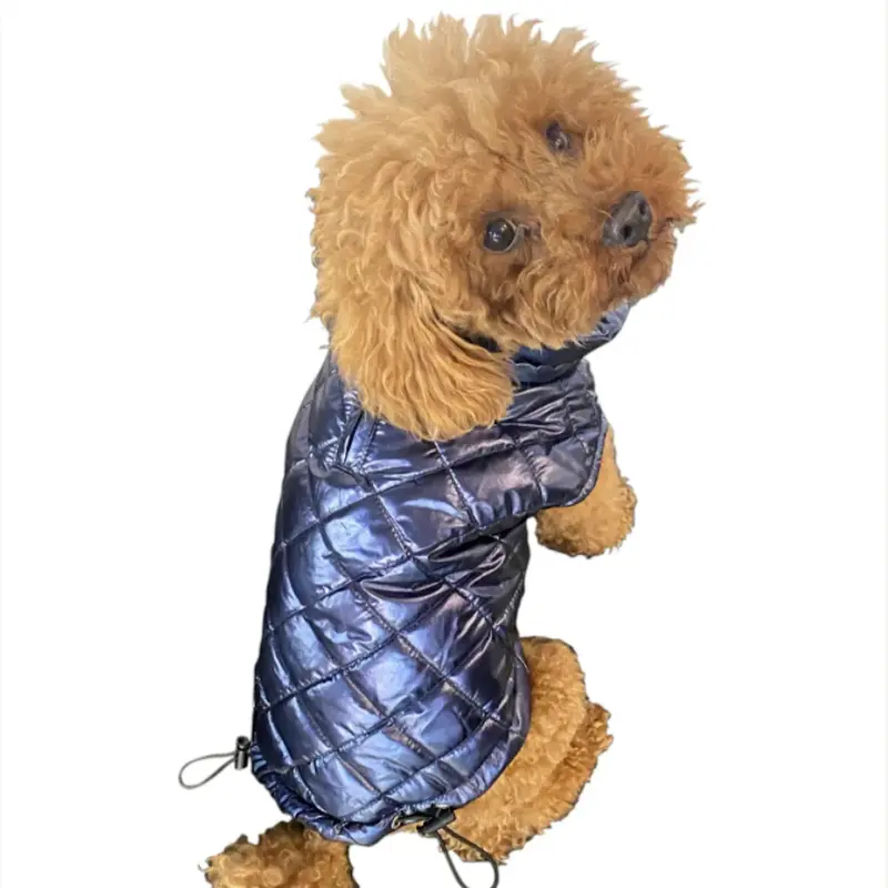 The Dog Squad Mercedes Metallic Dog Coat - Navy Blue