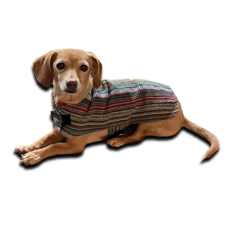 Walking Palm Dog Poncho - Bohemian