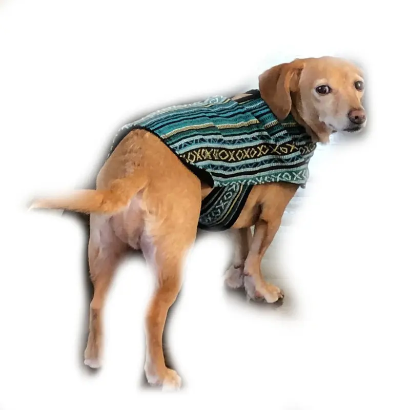 Walking Palm Dog Poncho - Peacock Blue
