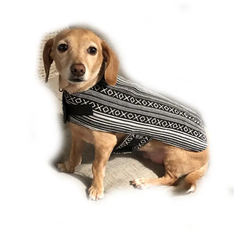Walking Palm Dog Poncho - Salt and Pepper