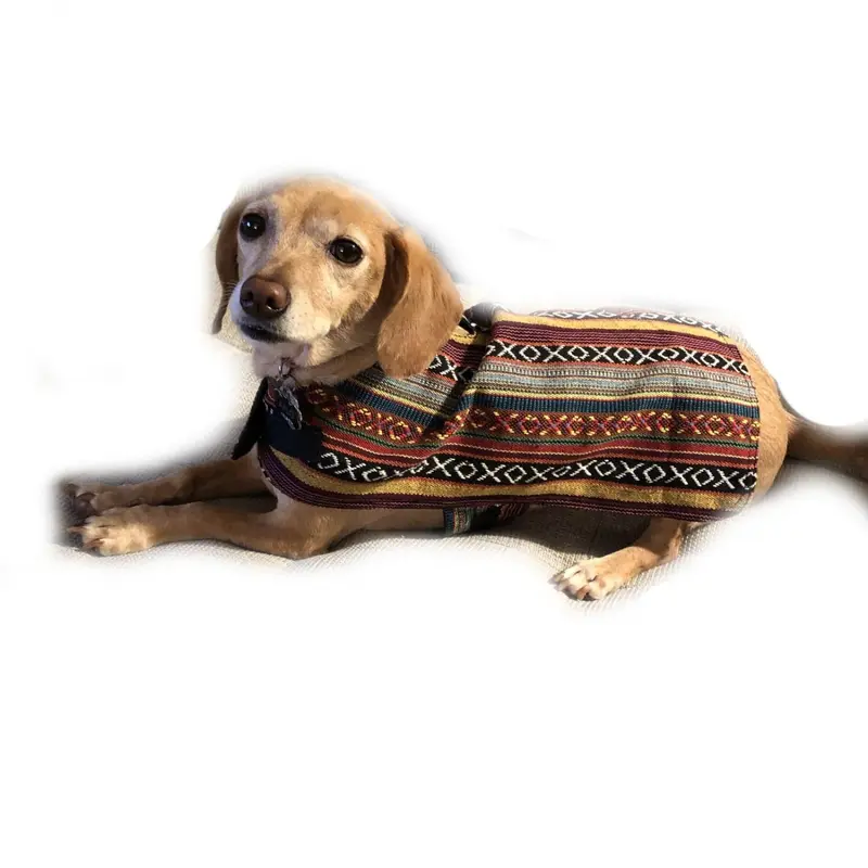 Walking Palm Dog Poncho - Sonora