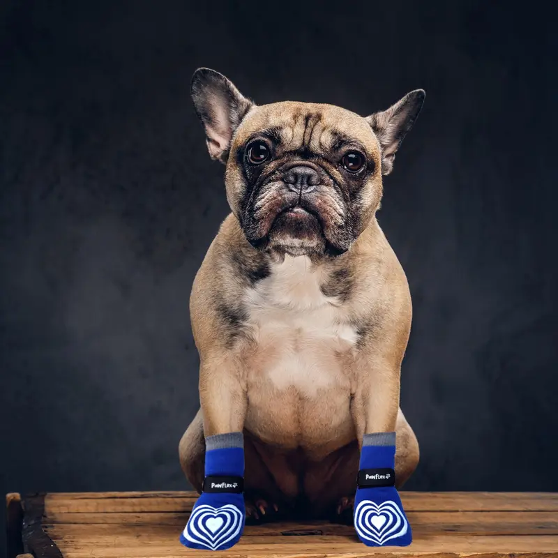 PawFlex Comfy Pawz High Rise Long Cotton Dog Socks - Blue with Gray Cuff