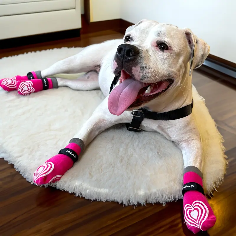 PawFlex Comfy Pawz High Rise Long Cotton Dog Socks - Pink with Gray Cuff