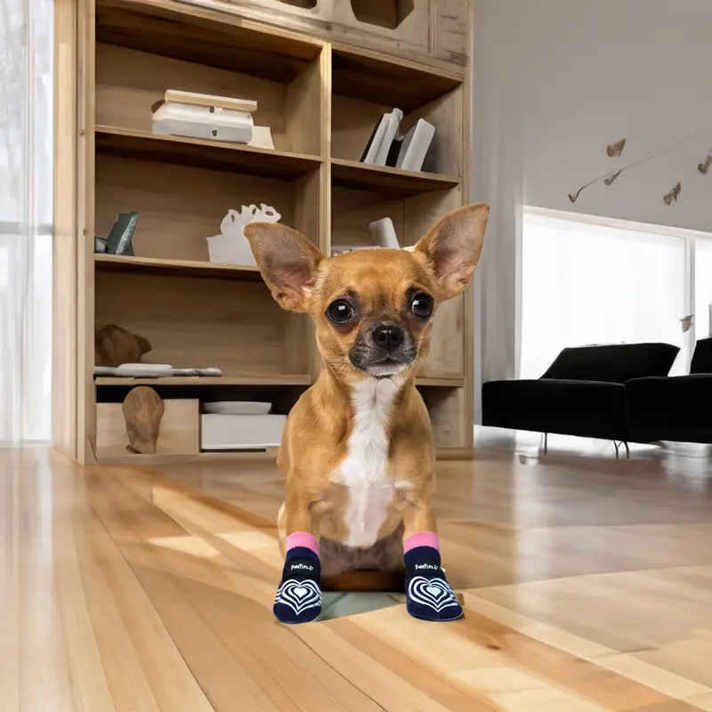 PawFlex Comfy Pawz Low Rise Cotton Dog Socks - Blue with Pink Cuff
