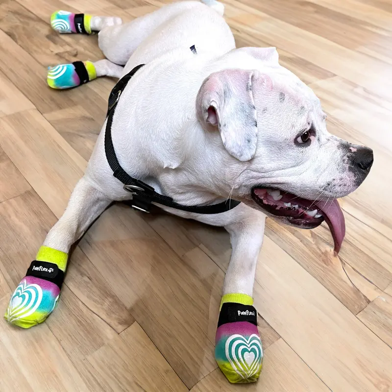 PawFlex Comfy Pawz Low Rise Cotton Dog Socks - Tie Dye