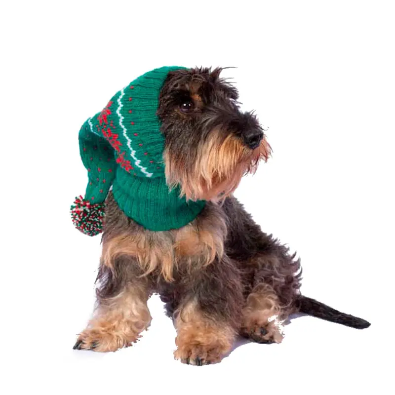 Alqo Wasi Snowflake Alpaca Winter Dog Hat - Green