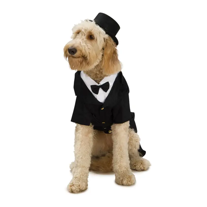 Dapper Tuxedo Dog Halloween Costume