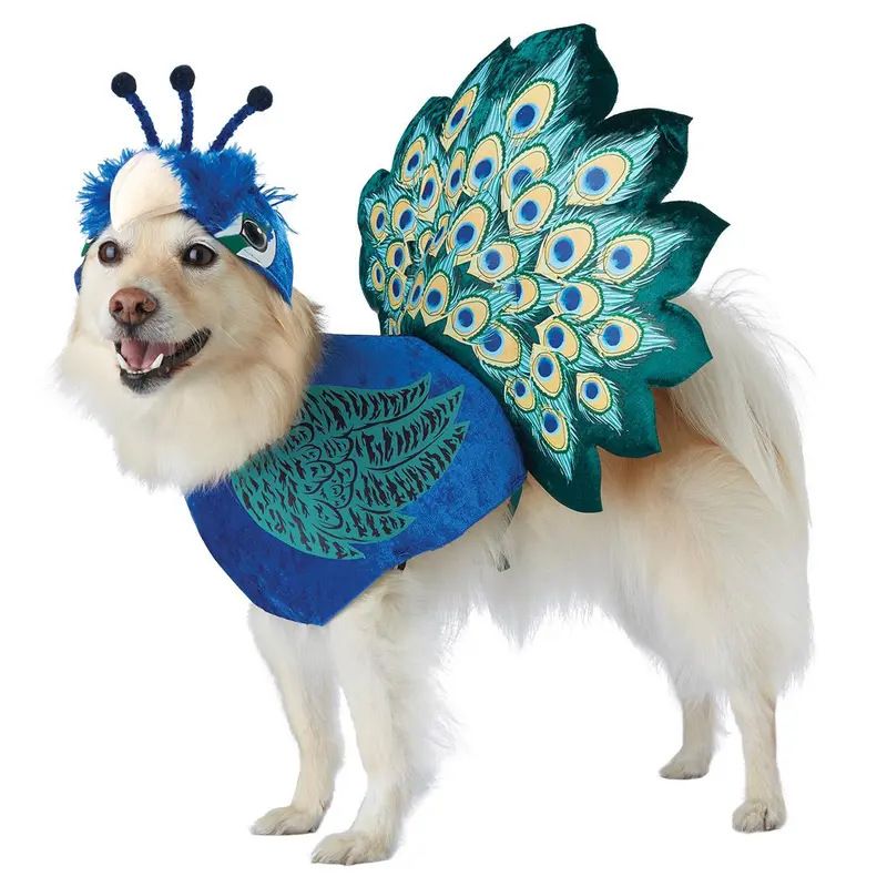 Pretty as a Peacock Dog Costume