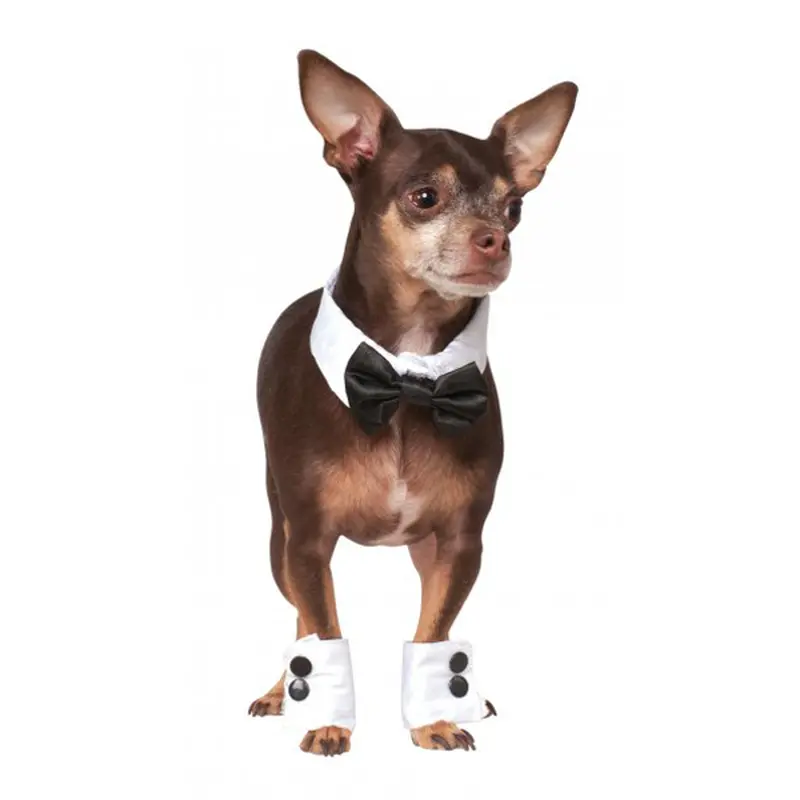 Debonair Dog Bow-tie and Cuff Set