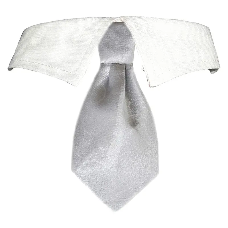 Pooch Outfitters Noah Dog Tie and Shirt Collar - Silver