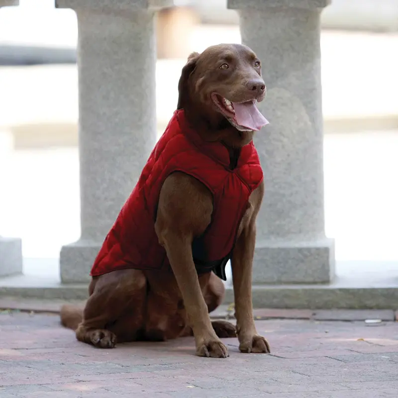 Kurgo Loft Reversible Dog Jacket - Chili Red and Dark Charcoal