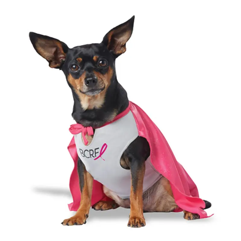 My BCRF Hero Dog Costume - Pink