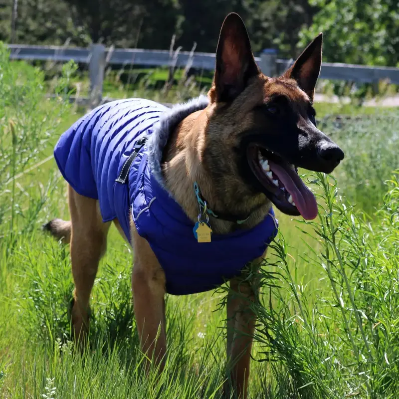 Alpine Extreme Weather Puffer Dog Coat by Doggie Design - Blue