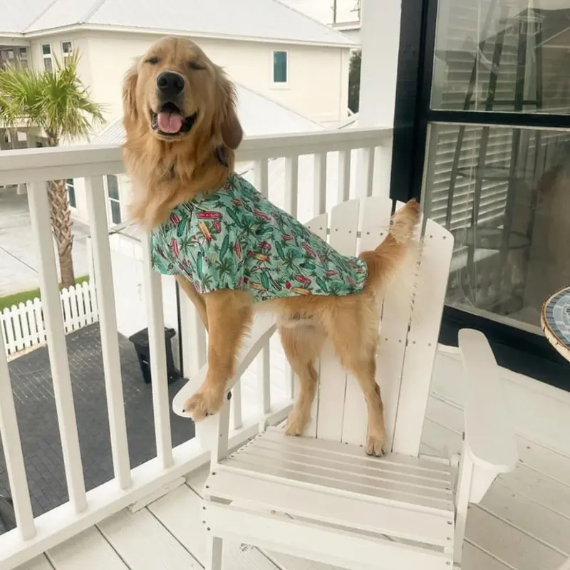 Hawaiian Camp Shirt by Doggie Design - Surfboards and Palms