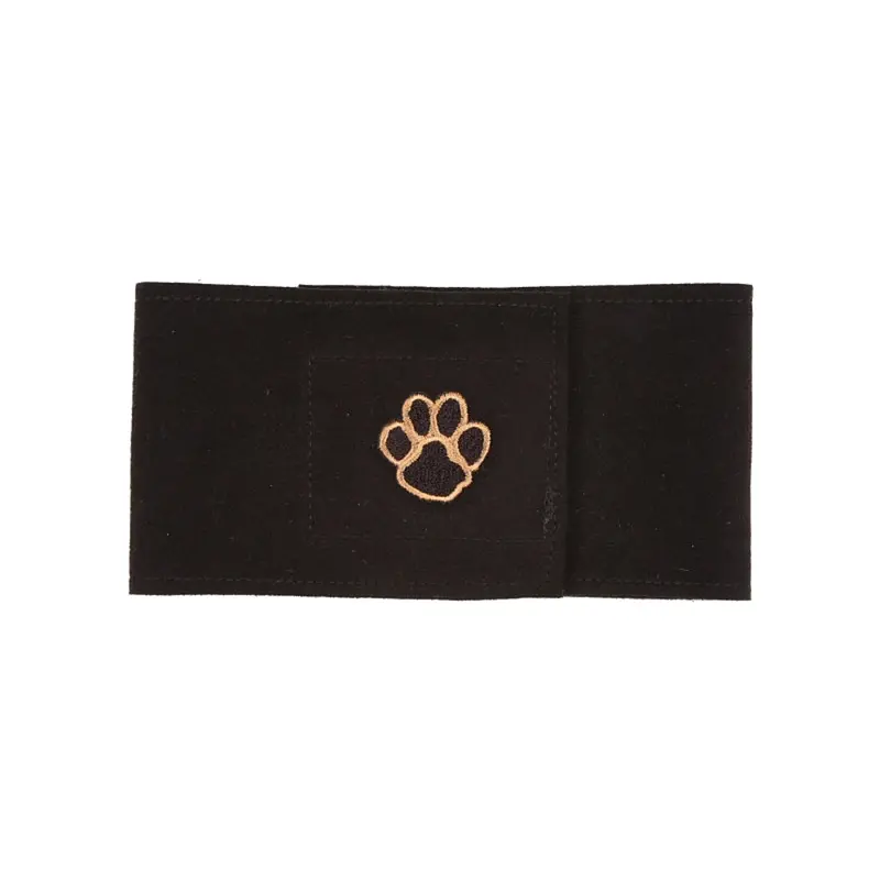 Susan Lanci Paw Wizzer Dog Belly Band - Black