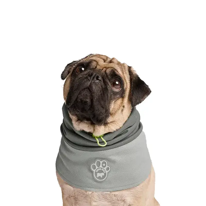 Canada Pooch Max Chill Cooling Dog Snood - Gray
