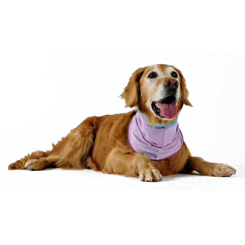Gold Paw Sun Shield Dog Snood - Heather Violet