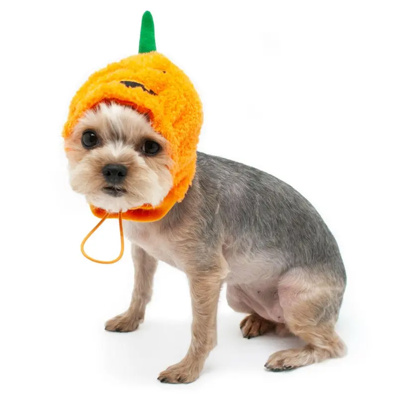 Jack-O Halloween Dog Hat by Dogo
