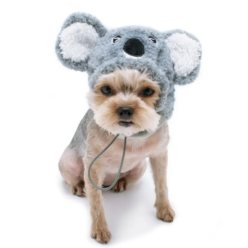 Koala Halloween Dog Hat by Dogo