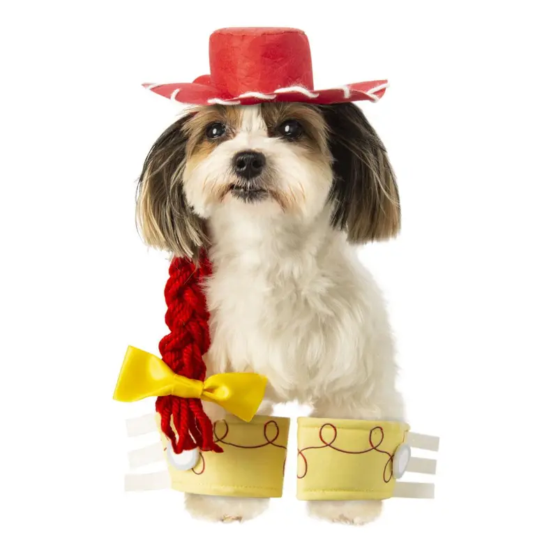 Toy Story Jessie Pet Costume Accessory Set