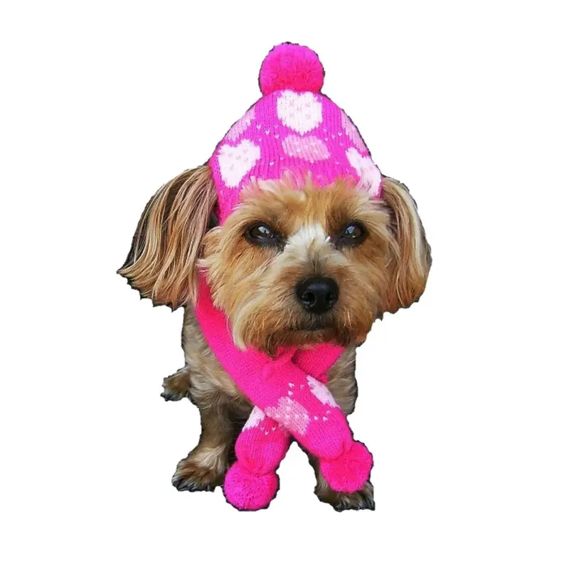 Dallas Dogs Pink Hearts Dog Hat and Scarf