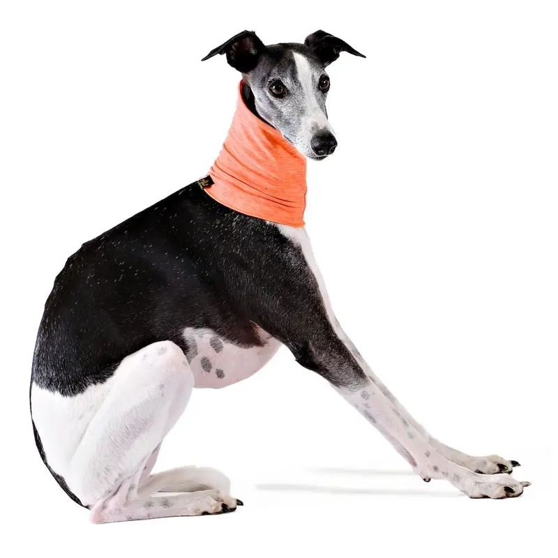 Gold Paw Sun Shield Dog Snood - Neon Orange