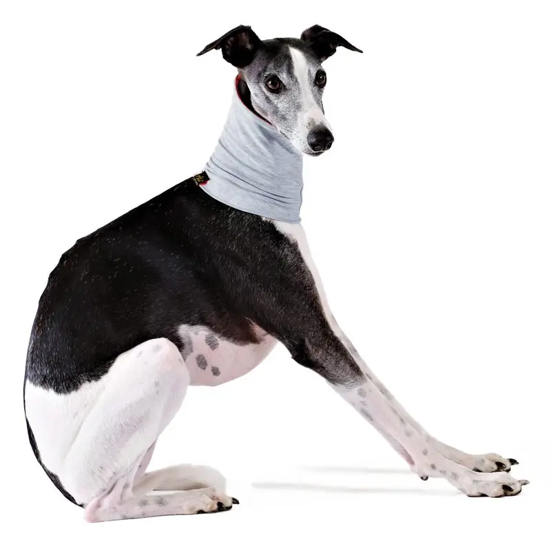 Gold Paw Sun Shield Dog Snood - Pebble