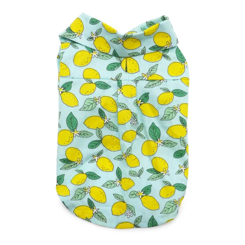 Lemon Dog Shirt by Dogo - Blue