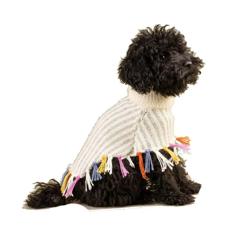 Alqo Wasi Rainbow Fringe Alpaca Dog Poncho