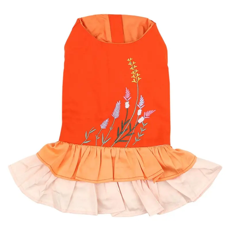 Color Block Garden Dog Dress by Parisian Pet - Orange