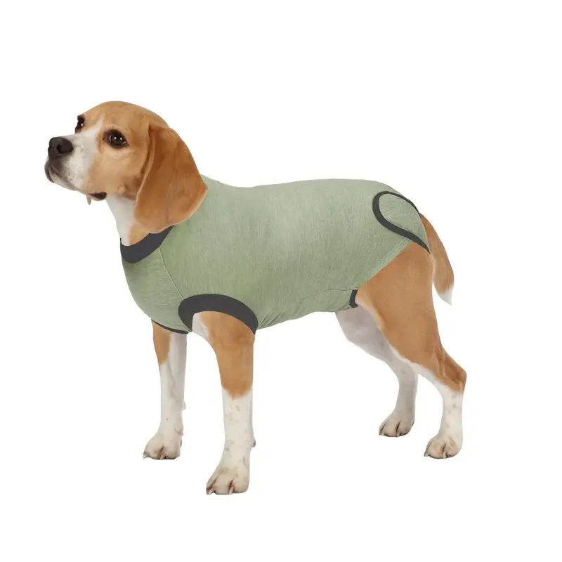 Total Pet Health Dog Recovery Suit - Olive
