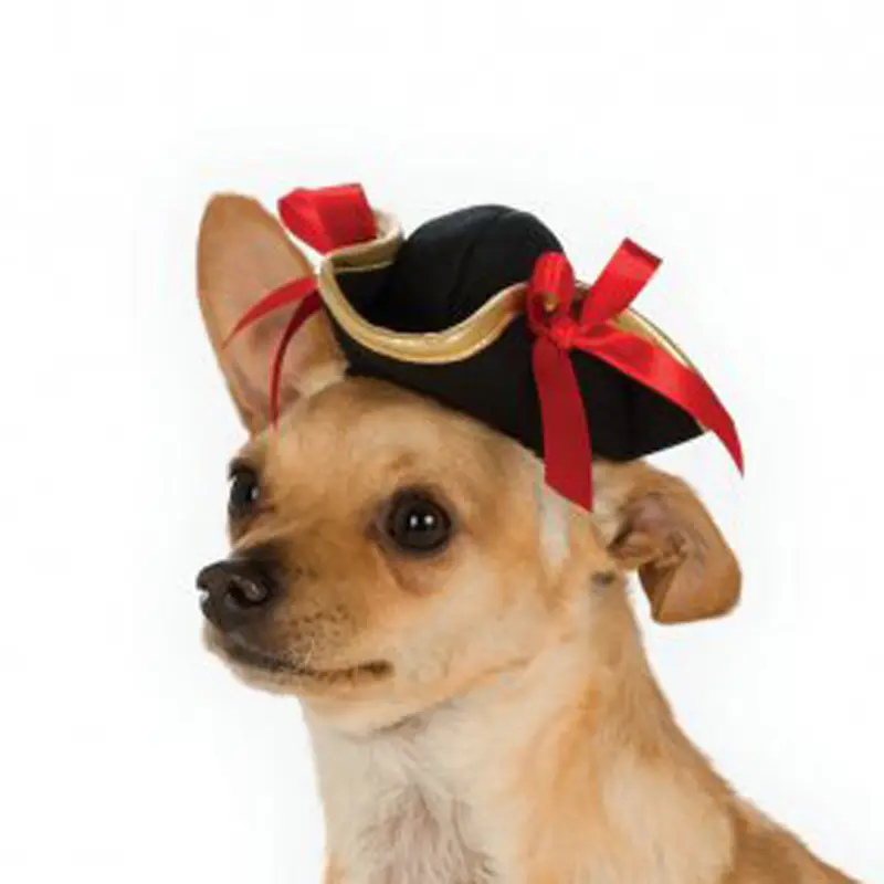 Halloween Pirate Girl Dog Hat by Rubies