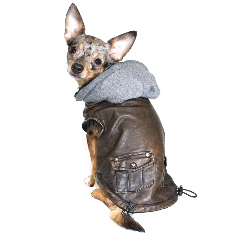 Hip Doggie Vintage Bomber Dog Jacket - Gray Hood