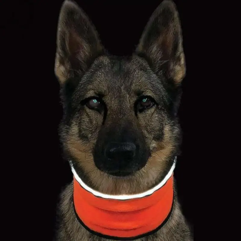Muttluks MuTTravel MuTTravel ViziNek Dog Gator - Orange