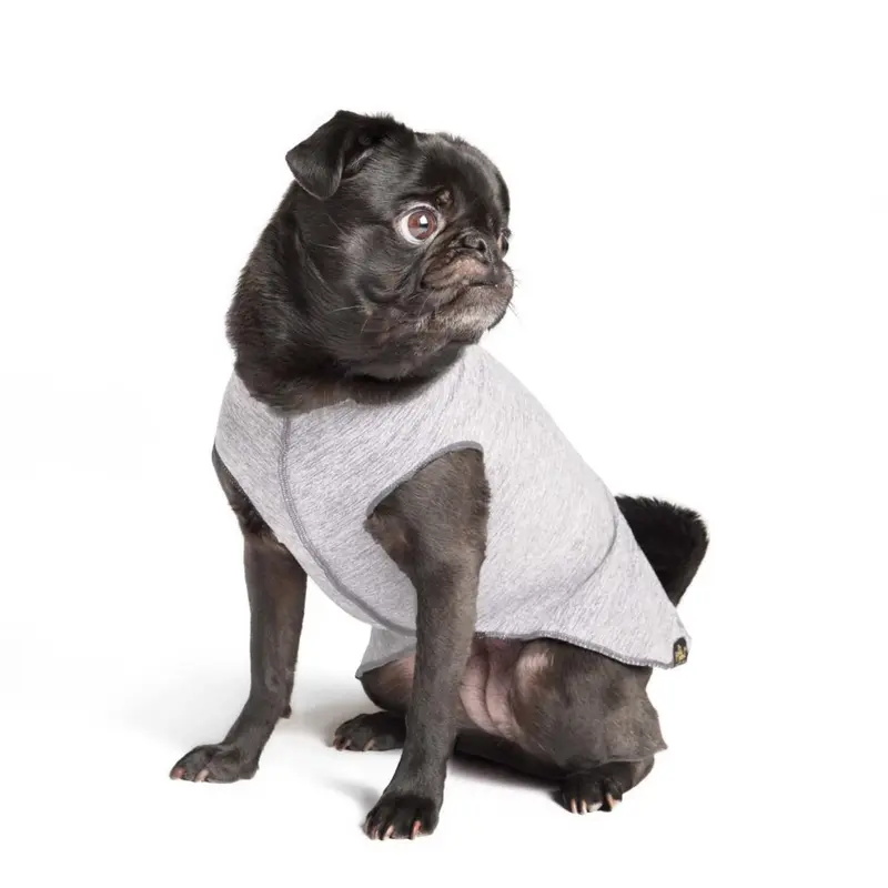 Gold Paw Sun Shield Dog Shirt - Pebble