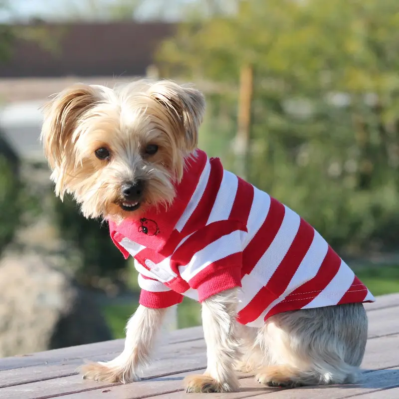Striped Dog Polo by Doggie Design - Flame Scarlet Red and White