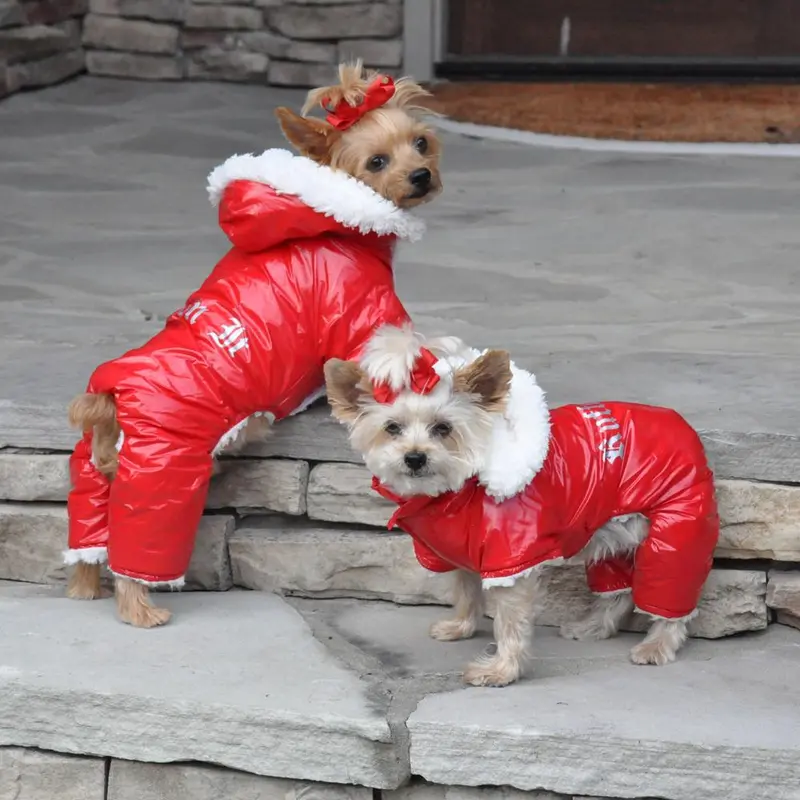 Ruffin It Snowsuit by Doggie Design - Red
