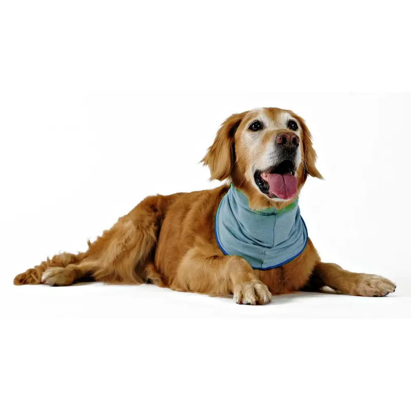 Gold Paw Sun Shield Dog Snood - Ocean Blue