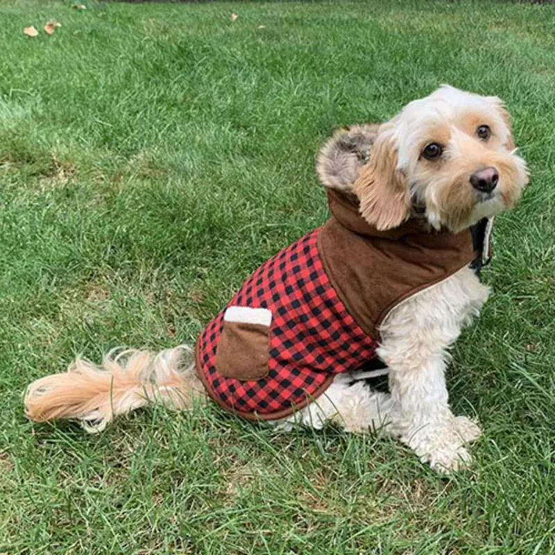 Petrageous Jackson Field Suede and Fur Dog Coat - Red/Brown