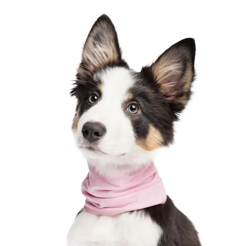 Gold Paw Sun Shield Dog Snood - Pink Lemonade