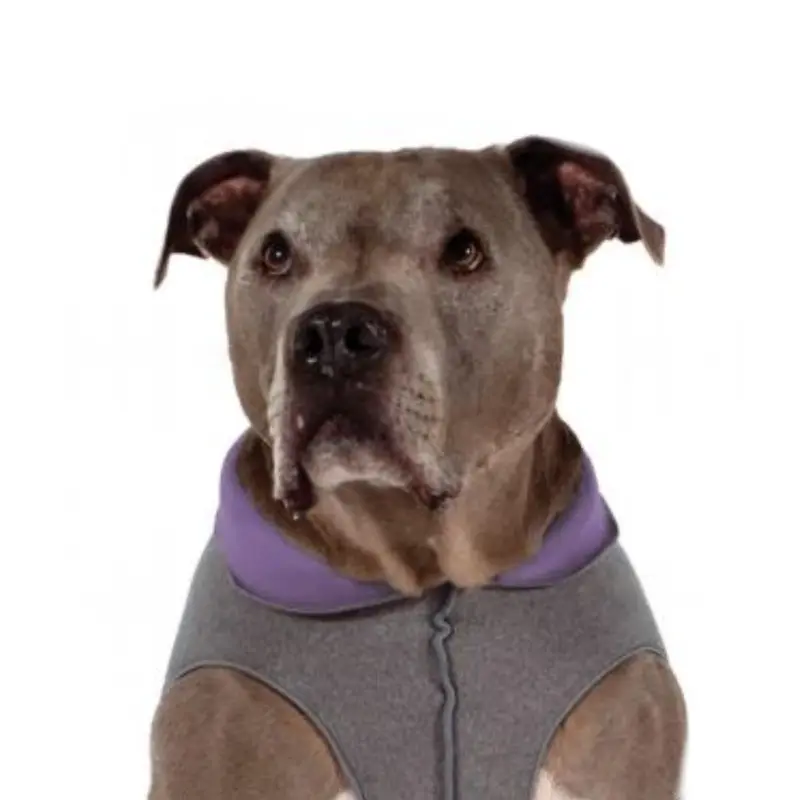 Gold Paw Reversible Double Fleece Dog Jacket - Charcoal/Lavender