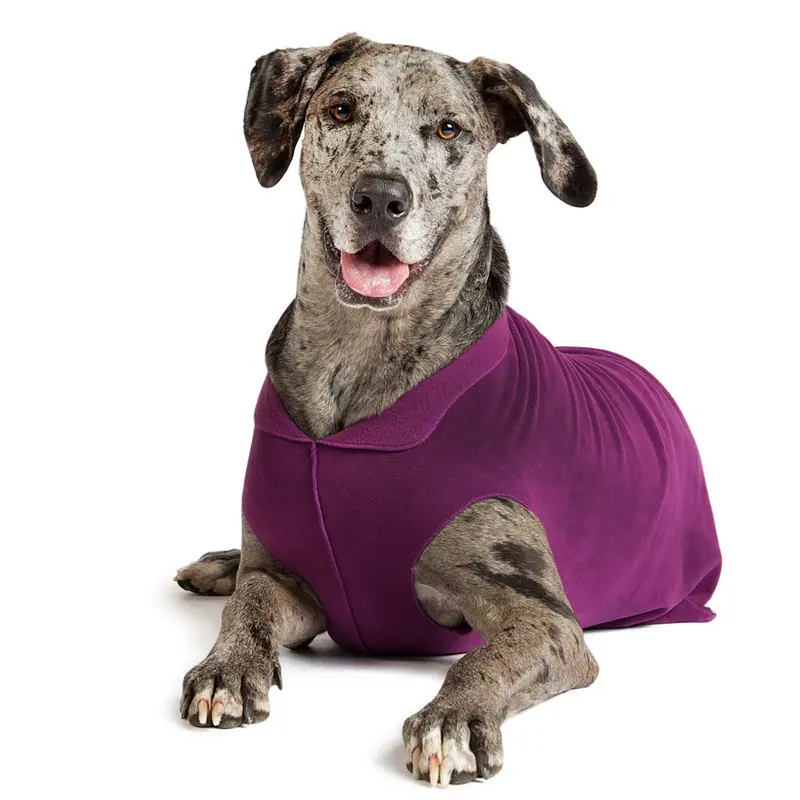 Gold Paw Fleece Dog Jacket - Eggplant