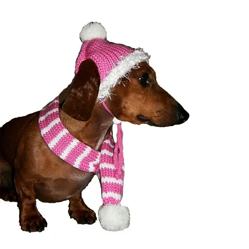 Dallas Dogs Bubblegum Pink Dog Hat and Scarf