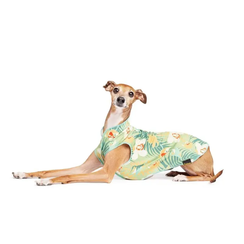Gold Paw Sun Shield Dog Shirt - Hummingbird Jungle - Limited Edition